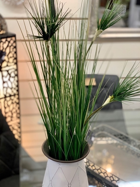 CORTADERA VERDE CYPERUS