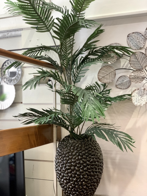 PALMERA DYPSIS 160M