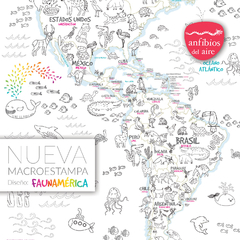 MACROESTAMPAS PARA COLOREAR - FAUNAMERICA - comprar online