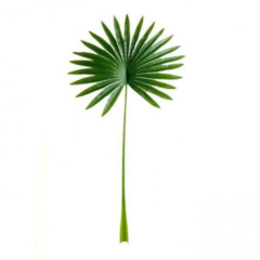 HOJA TROPICAL 77CM x 37 - comprar online