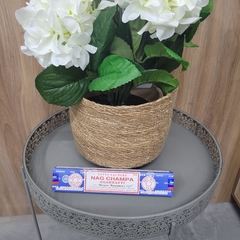 SAHUMERIO NAG CHAMPA