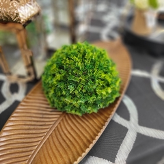 PLANTA MEDIA ESFERA LIGUST - comprar online