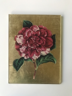 Camelia nº5