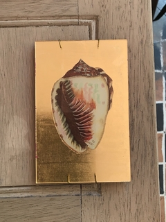 Caracol crema y aguamarina