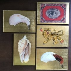 Tigre asiático - comprar online