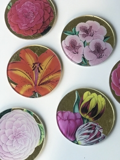 6 Posavasos Naturaleza en internet
