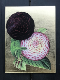 Dalias