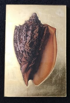 Caracol tostado