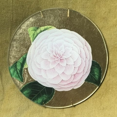 Camelia rosa