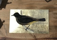 Pájaro amarillo y negro