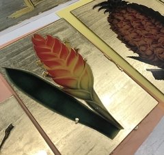 Vriesea splendens