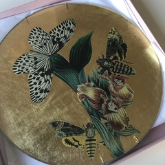 Planta con mariposas