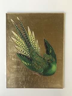 Loro verde