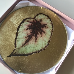 Hoja verde nº5
