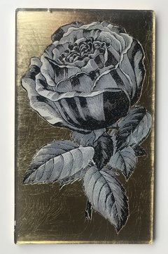 Rosa B&N