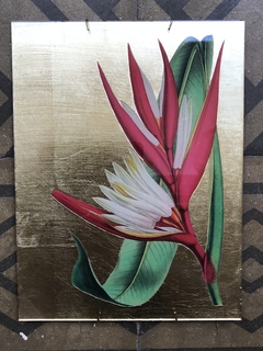 Heliconia