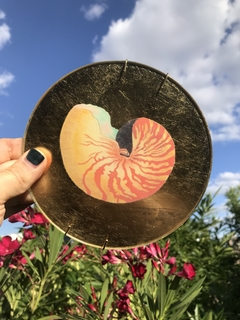 Caracol nº3