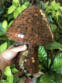 Hongo 25cm