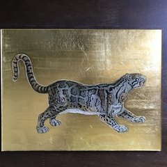 Tigre Blanco