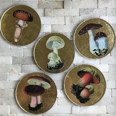 6 Posavasos Naturaleza - comprar online
