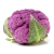 COLIFLOR MORADA pza