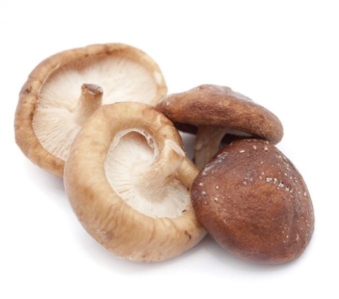 SHITAKE DESHIDRATADO 50g
