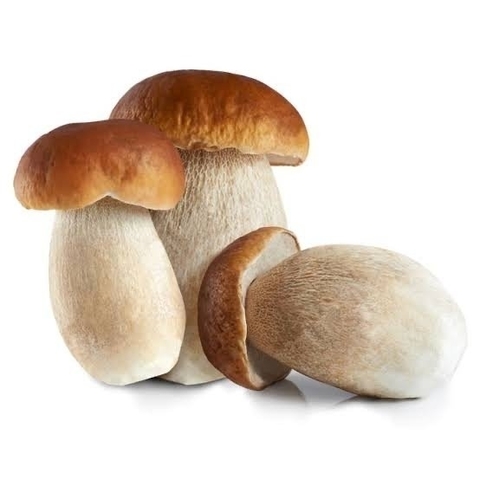 PORCINI DESHIDRATADO 50g