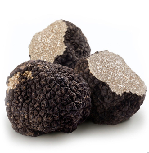 TRUFA NEGRA DE VERANO 20g