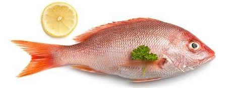 HUACHINANGO ENTERO/MARIPOSA