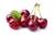 CEREZA