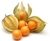 GOLDEN BERRIES 170g - comprar en línea