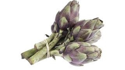 ALCACHOFA baby manojo