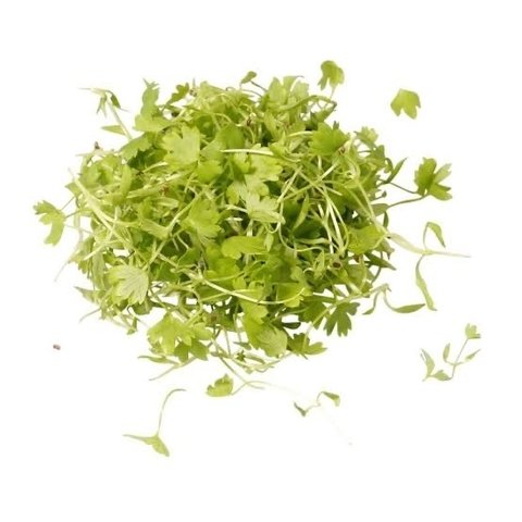 MICROGREENS domo
