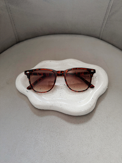 Óculos North (paleta marrom) - Loví Loja