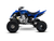 RAPTOR YFM 700R - tienda online