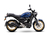 FZ X en internet