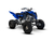 RAPTOR YFM 700R - comprar online