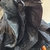 Campera de Cordura AXO Cayman en internet