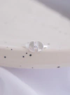 ANILLO TOURS