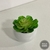 Redonda permanente - comprar online