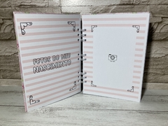 Imagem do Álbum do bebe passarinho Miolo 02