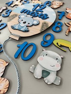 kit mesversario animais 1 - comprar online