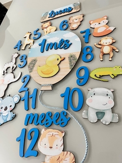 kit mesversario animais 1 - loja online
