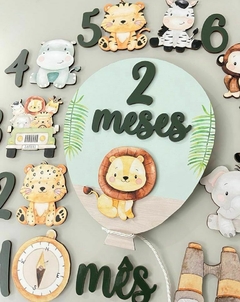 Kit mêsversário Safari verde menino na internet