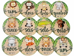 Kit mêsversário Safari verde redondo - comprar online