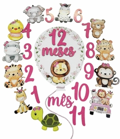 Kit mêsversário Safari rosa menina - comprar online