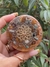 Imagem do Orgonite Mandala Abundância