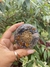 Orgonite Medalhão Proteção Pessoal