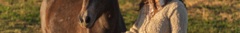 Banner de la categoría SACOS