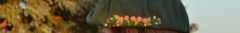 Banner de la categoría HILO